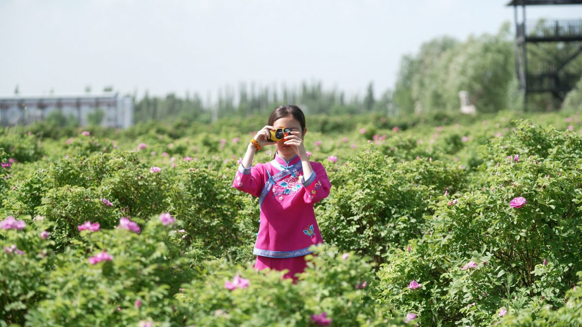 春不遲,重逢自有時